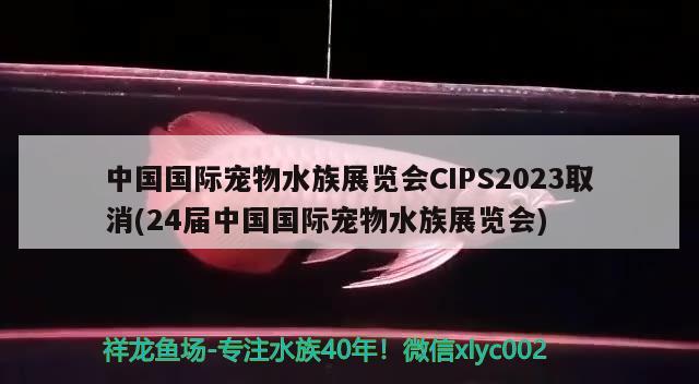 中國國際寵物水族展覽會CIPS2023取消(24屆中國國際寵物水族展覽會)