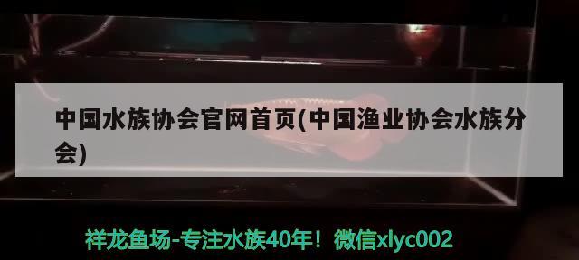 中國水族協(xié)會官網(wǎng)首頁(中國漁業(yè)協(xié)會水族分會) 2024第28屆中國國際寵物水族展覽會CIPS（長城寵物展2024 CIPS）