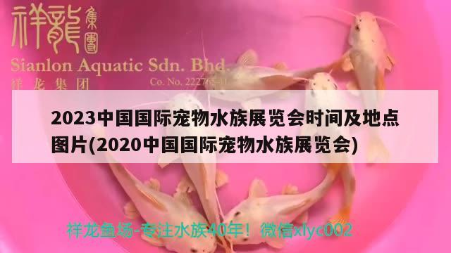 2023中國國際寵物水族展覽會(huì)時(shí)間及地點(diǎn)圖片(2020中國國際寵物水族展覽會(huì))