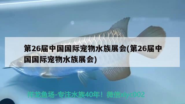 第26屆中國國際寵物水族展會(第26屆中國國際寵物水族展會) 水族展會 第1張