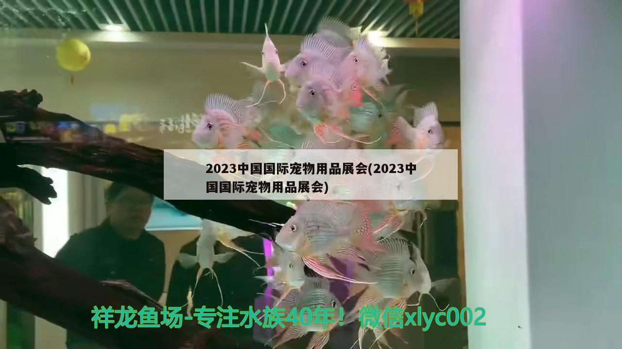 2023中國國際寵物用品展會(2023中國國際寵物用品展會)