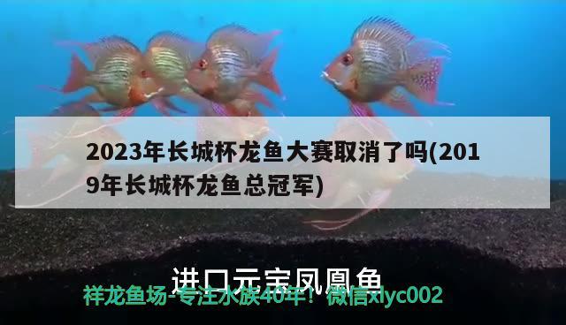 2023年長城杯龍魚大賽取消了嗎(2019年長城杯龍魚總冠軍)