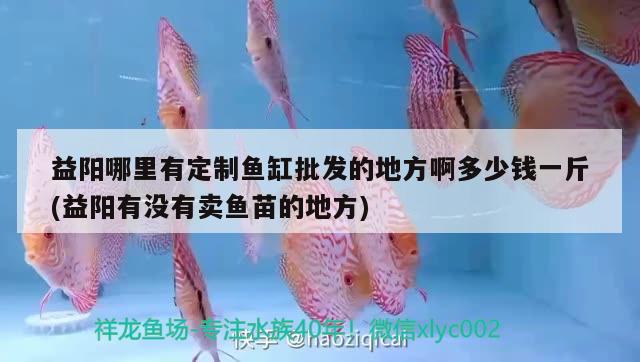 益陽哪里有定制魚缸批發(fā)的地方啊多少錢一斤(益陽有沒有賣魚苗的地方)