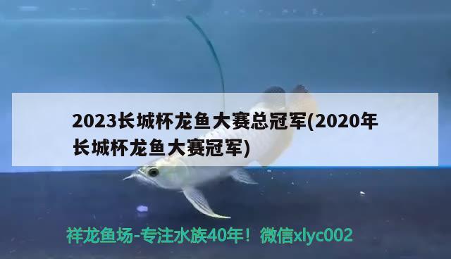 2023長城杯龍魚大賽總冠軍(2020年長城杯龍魚大賽冠軍) 2024第28屆中國國際寵物水族展覽會CIPS（長城寵物展2024 CIPS）