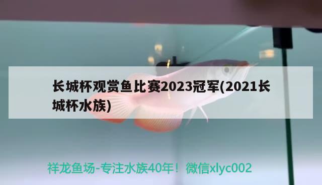 長城杯觀賞魚比賽2023冠軍(2021長城杯水族)