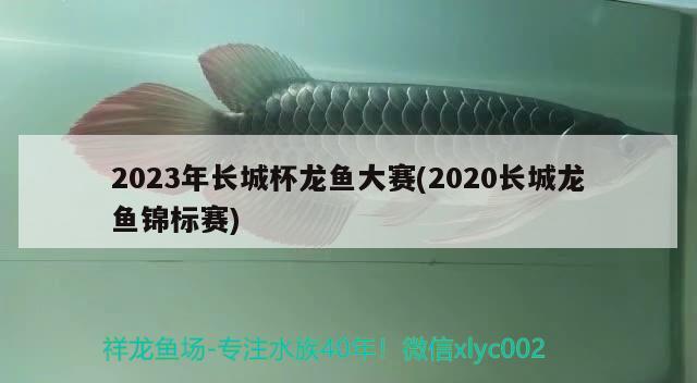 2023年長城杯龍魚大賽(2020長城龍魚錦標賽) 2024第28屆中國國際寵物水族展覽會CIPS（長城寵物展2024 CIPS）