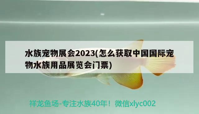 水族寵物展會2023(怎么獲取中國國際寵物水族用品展覽會門票)