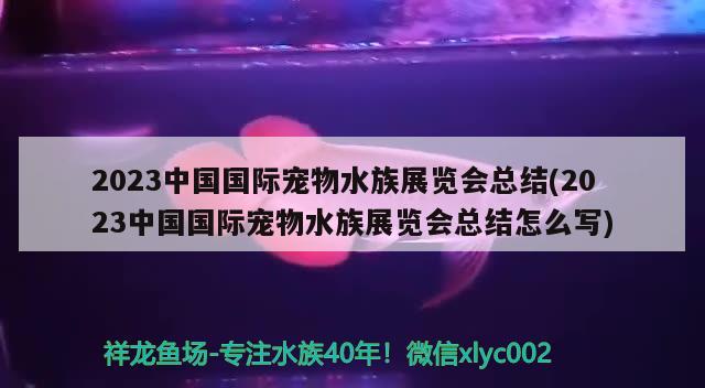 2023中國國際寵物水族展覽會總結(jié)(2023中國國際寵物水族展覽會總結(jié)怎么寫)