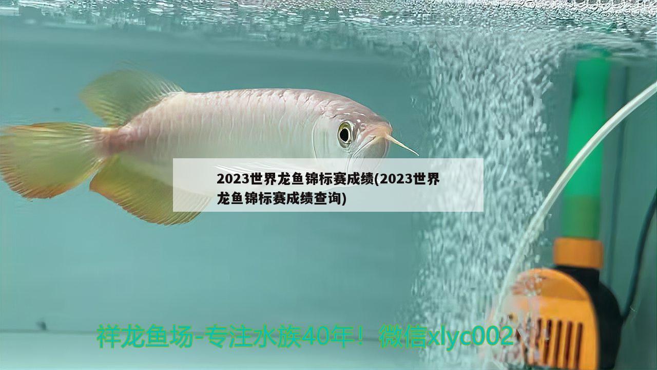 2023世界龍魚錦標賽成績(2023世界龍魚錦標賽成績查詢)