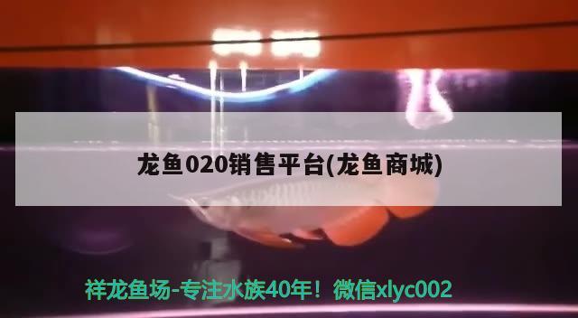 龍魚020銷售平臺(龍魚商城) 2024第28屆中國國際寵物水族展覽會(huì)CIPS（長城寵物展2024 CIPS）