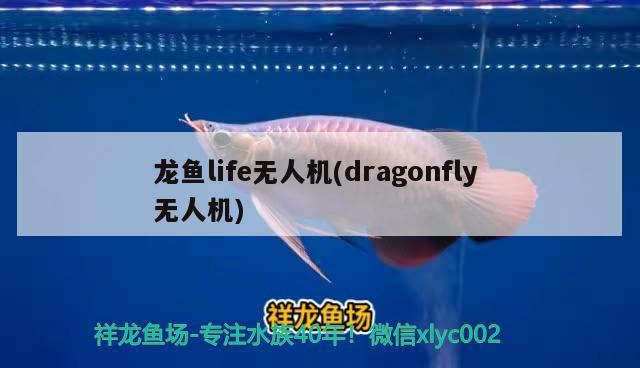 龍魚life無人機(jī)(dragonfly無人機(jī))