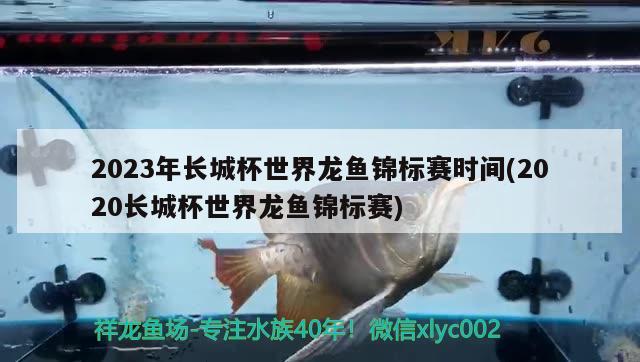 2023年長城杯世界龍魚錦標(biāo)賽時間(2020長城杯世界龍魚錦標(biāo)賽)