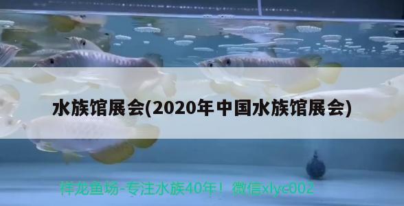 水族館展會(2020年中國水族館展會) 2024第28屆中國國際寵物水族展覽會CIPS（長城寵物展2024 CIPS）