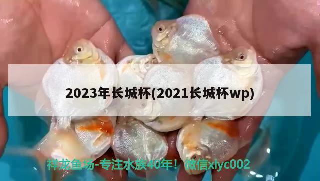 2023年長城杯(2021長城杯wp) 2024第28屆中國國際寵物水族展覽會CIPS（長城寵物展2024 CIPS）