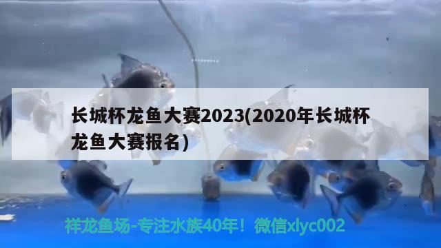 長(zhǎng)城杯龍魚(yú)大賽2023(2020年長(zhǎng)城杯龍魚(yú)大賽報(bào)名) 2024第28屆中國(guó)國(guó)際寵物水族展覽會(huì)CIPS（長(zhǎng)城寵物展2024 CIPS）