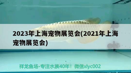 2023年上海寵物展覽會(huì)(2021年上海寵物展覽會(huì))