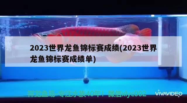 2023世界龍魚錦標賽成績(2023世界龍魚錦標賽成績單)