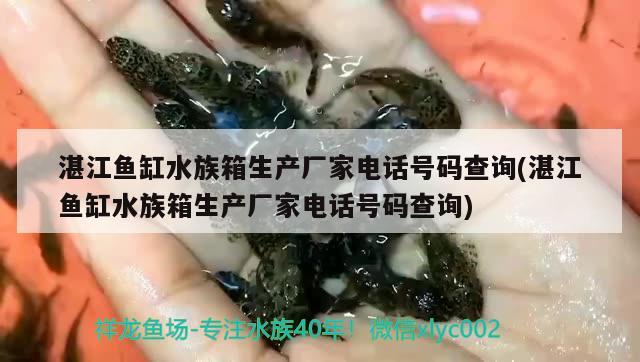 湛江魚缸水族箱生產(chǎn)廠家電話號碼查詢(湛江魚缸水族箱生產(chǎn)廠家電話號碼查詢)