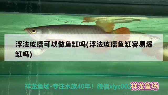 浮法玻璃可以做魚(yú)缸嗎(浮法玻璃魚(yú)缸容易爆缸嗎)