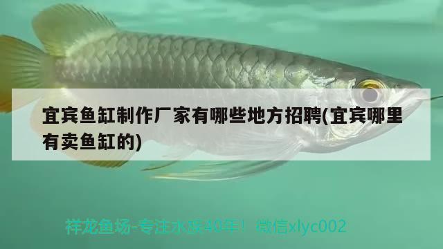 宜賓魚缸制作廠家有哪些地方招聘(宜賓哪里有賣魚缸的)