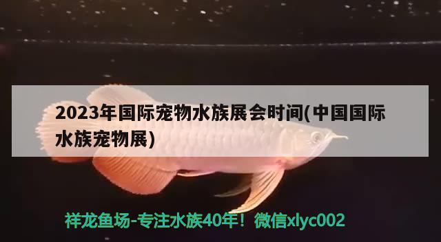 2023年國際寵物水族展會時間(中國國際水族寵物展)