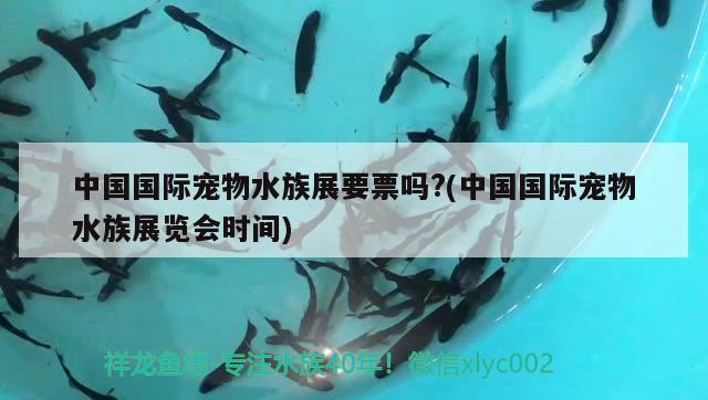 中國(guó)國(guó)際寵物水族展要票嗎?(中國(guó)國(guó)際寵物水族展覽會(huì)時(shí)間)