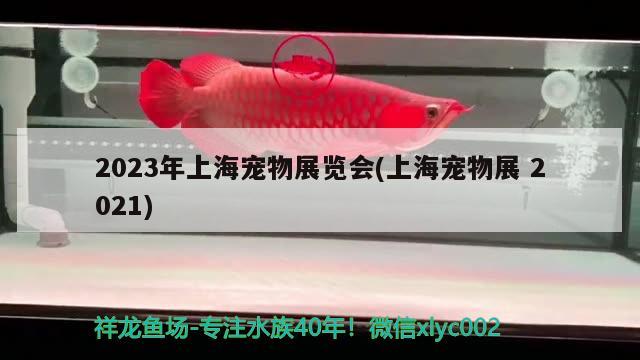 2023年上海寵物展覽會(上海寵物展2021) 2024第28屆中國國際寵物水族展覽會CIPS（長城寵物展2024 CIPS）