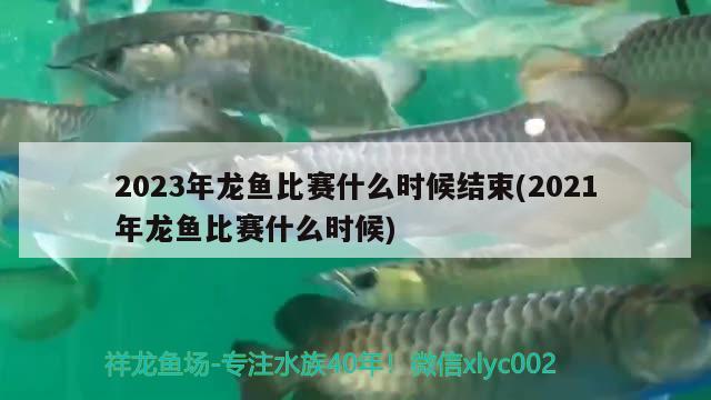 2023年龍魚比賽什么時(shí)候結(jié)束(2021年龍魚比賽什么時(shí)候) 2024第28屆中國(guó)國(guó)際寵物水族展覽會(huì)CIPS（長(zhǎng)城寵物展2024 CIPS）