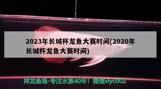 2023年長城杯龍魚大賽時間(2020年長城杯龍魚大賽時間)