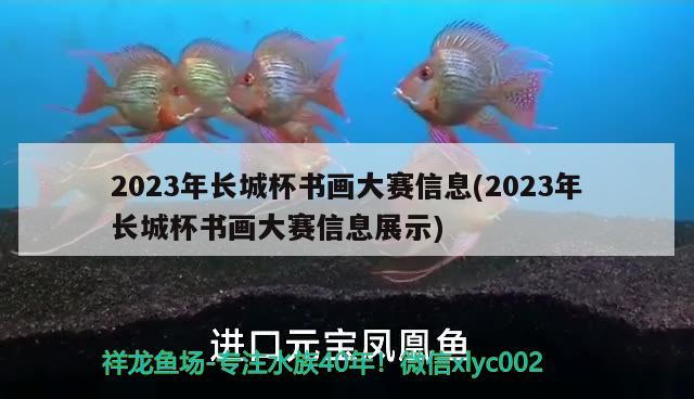 2023年長(zhǎng)城杯書(shū)畫(huà)大賽信息(2023年長(zhǎng)城杯書(shū)畫(huà)大賽信息展示)