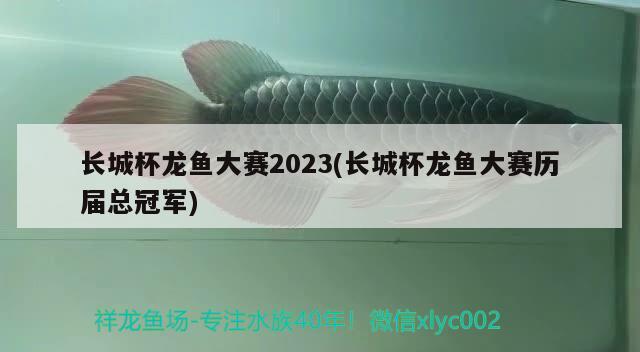 長城杯龍魚大賽2023(長城杯龍魚大賽歷屆總冠軍) 2024第28屆中國國際寵物水族展覽會CIPS（長城寵物展2024 CIPS）