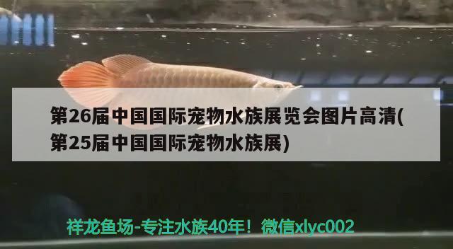 第26屆中國國際寵物水族展覽會圖片高清(第25屆中國國際寵物水族展) 水族展會