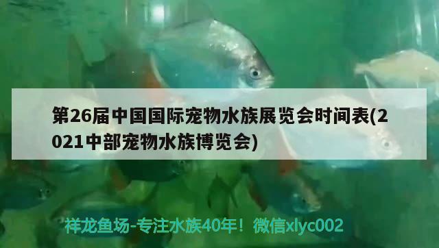 第26屆中國(guó)國(guó)際寵物水族展覽會(huì)時(shí)間表(2021中部寵物水族博覽會(huì))