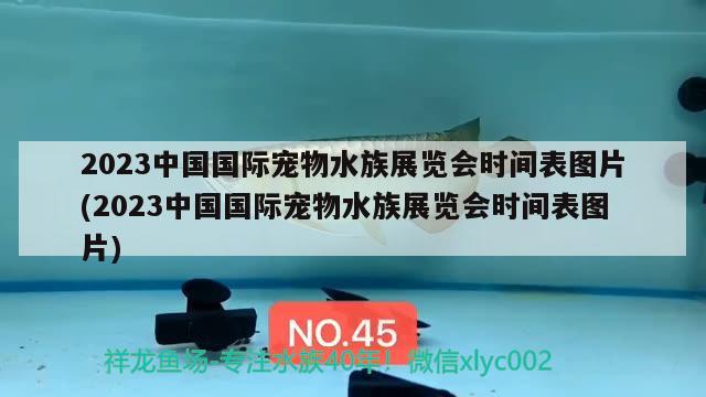 2023中國國際寵物水族展覽會時間表圖片(2023中國國際寵物水族展覽會時間表圖片) 水族展會