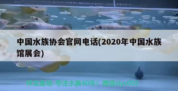 中國水族協(xié)會(huì)官網(wǎng)電話(2020年中國水族館展會(huì)) 2024第28屆中國國際寵物水族展覽會(huì)CIPS（長城寵物展2024 CIPS）