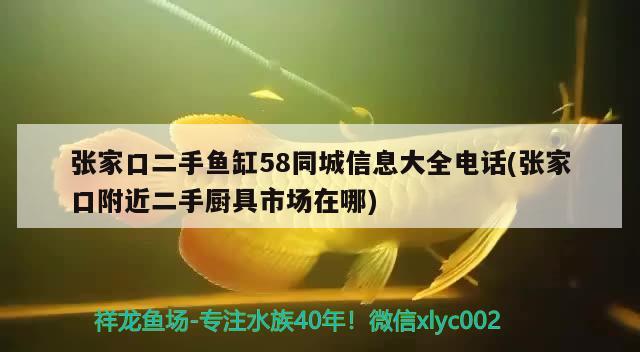 張家口二手魚缸58同城信息大全電話(張家口附近二手廚具市場在哪)