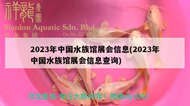 2023年中國(guó)水族館展會(huì)信息(2023年中國(guó)水族館展會(huì)信息查詢(xún))