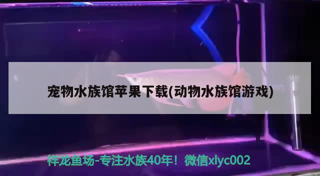 寵物水族館蘋果下載(動(dòng)物水族館游戲) 2024第28屆中國國際寵物水族展覽會(huì)CIPS（長城寵物展2024 CIPS） 第2張