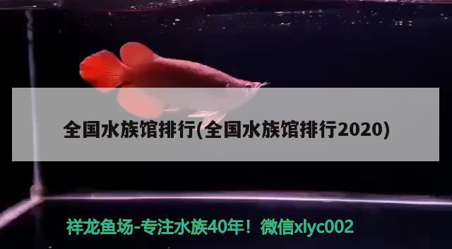 全國(guó)水族館排行(全國(guó)水族館排行2020)