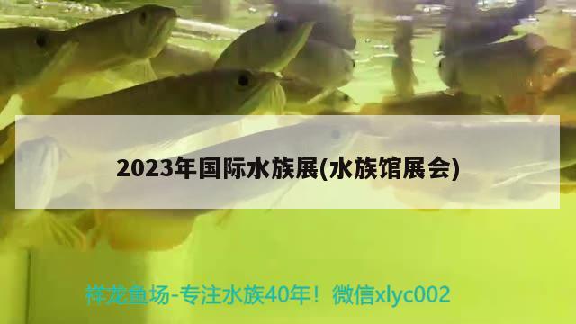 2023年國(guó)際水族展(水族館展會(huì))