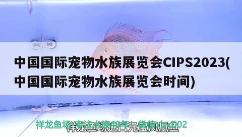 中國國際寵物水族展覽會CIPS2023(中國國際寵物水族展覽會時間)