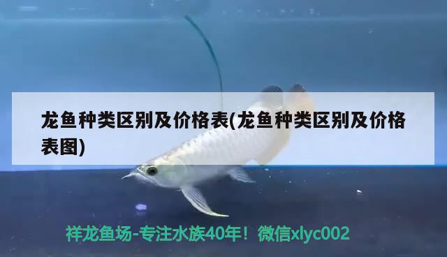 龍魚種類區(qū)別及價格表(龍魚種類區(qū)別及價格表圖) 2024第28屆中國國際寵物水族展覽會CIPS（長城寵物展2024 CIPS）