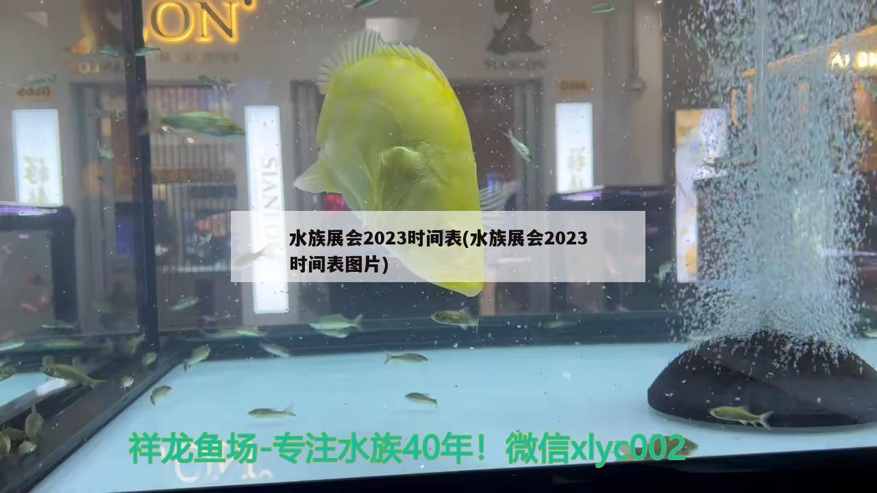 水族展會2023時間表(水族展會2023時間表圖片)