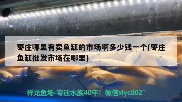 棗莊哪里有賣魚缸的市場啊多少錢一個(棗莊魚缸批發(fā)市場在哪里)