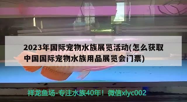 2023年國際寵物水族展覽活動(怎么獲取中國國際寵物水族用品展覽會門票) 水族展會