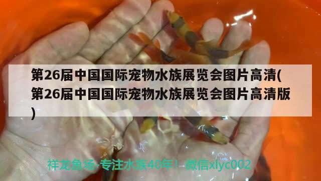 第26屆中國國際寵物水族展覽會圖片高清(第26屆中國國際寵物水族展覽會圖片高清版) 水族展會