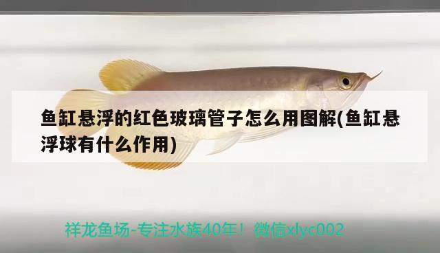 魚(yú)缸懸浮的紅色玻璃管子怎么用圖解(魚(yú)缸懸浮球有什么作用)