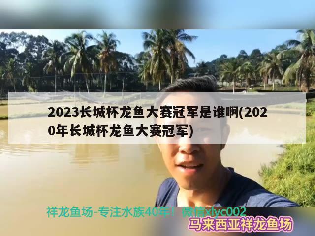 2023長(zhǎng)城杯龍魚(yú)大賽冠軍是誰(shuí)啊(2020年長(zhǎng)城杯龍魚(yú)大賽冠軍) 2024第28屆中國(guó)國(guó)際寵物水族展覽會(huì)CIPS（長(zhǎng)城寵物展2024 CIPS）