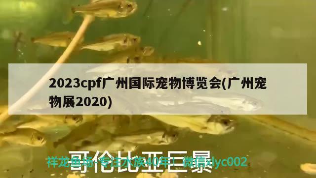 2023cpf廣州國際寵物博覽會(huì)(廣州寵物展2020)