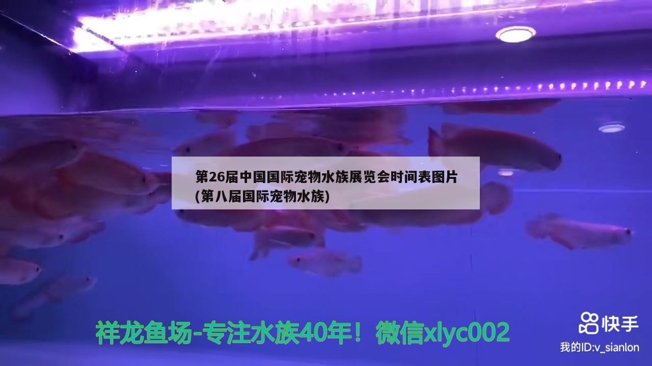 第26屆中國(guó)國(guó)際寵物水族展覽會(huì)時(shí)間表圖片(第八屆國(guó)際寵物水族)